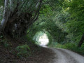 Sentier de Guédelon Sentier de Guédelon