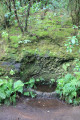 La Laurisylve, Parc Rural de l'Anaga La Laurisylve, Parc Rural de l'Anaga
