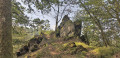 Promenade en forêt de Sainte-Cécile entre rochers et Semois