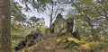 Promenade en forêt de Sainte-Cécile entre rochers et Semois Promenade en forêt de Sainte-Cécile entre rochers et Semois