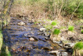 Le long de la Givonne et du Ruisseau des Fraichis Le long de la Givonne et du Ruisseau des Fraichis