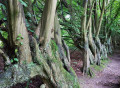 Itinéraire A de Malonne Transitionne Itinéraire A de Malonne Transitionne