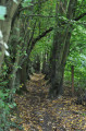 Itinéraire A de Malonne Transitionne Itinéraire A de Malonne Transitionne