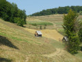 Les collines d'Alunis à Suplai Les collines d'Alunis à Suplai
