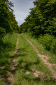 Le Chemin Européen de Saint-Colomban Le Chemin Européen de Saint-Colomban