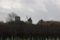 Entre vignobles et bois près de Marignac Entre vignobles et bois près de Marignac