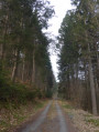 Autour du Molbecke et du Kreusberg Autour du Molbecke et du Kreusberg