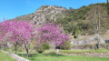 Sentier de Mialet à la découverte de hameaux camisards Sentier de Mialet à la découverte de hameaux camisards