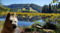 Circuit du Lac de Lispach depuis le Lac de Longemer Circuit du Lac de Lispach depuis le Lac de Longemer