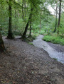 Forêt autour du centre de délassement de Marcinelle Forêt autour du centre de délassement de Marcinelle