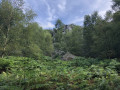 Le Roc la Tour en Forêt de Château-Régnault Le Roc la Tour en Forêt de Château-Régnault