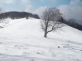 La source de la Doller au départ du Lachtelweiher La source de la Doller au départ du Lachtelweiher
