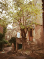 Le sentier des Béals Le sentier des Béals