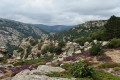 La Forêt des Écrivains Combattants, le Cap des Agasses et le Conil La Forêt des Écrivains Combattants, le Cap des Agasses et le Conil