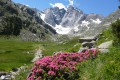 Lac de Gaube et Refuge des Oulettes de Gaube Lac de Gaube et Refuge des Oulettes de Gaube