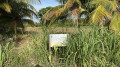 Baie à chats Baie à chats