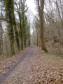Le Bois de Montabé Le Bois de Montabé
