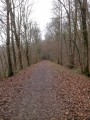 La Forêt de Méridon et l'Ancienne Voie Ferrée de Montabé La Forêt de Méridon et l'Ancienne Voie Ferrée de Montabé