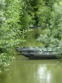 Le Marais Poitevin à Arçais Le Marais Poitevin à Arçais