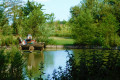 Forest-sur-Marque Forest-sur-Marque