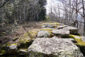 Coll de Paracolls par des chemins peu connus Coll de Paracolls par des chemins peu connus