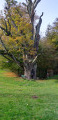 Mullerthal Trail ExtraTour C Mullerthal Trail ExtraTour C