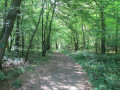 Chemin des Larrons à Cousolre Chemin des Larrons à Cousolre