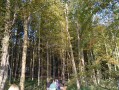 Entre forêt et vallée à Lucy Entre forêt et vallée à Lucy