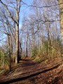 Vauboyen, le Bois de Bel-Air et le Bois de Montéclin Vauboyen, le Bois de Bel-Air et le Bois de Montéclin