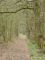 Autour de Thou par le Bois de La Marnière Autour de Thou par le Bois de La Marnière