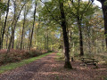 Bois de Marbaix Bois de Marbaix