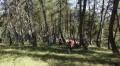 D'Allos à Colmars par la crête de l'Autapie D'Allos à Colmars par la crête de l'Autapie