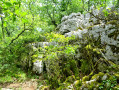 Le Bois de Païolive Le Bois de Païolive