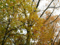 Boucle de Ham-sur-Sambre Boucle de Ham-sur-Sambre