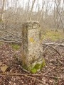 Des Etangs de Commelles à la Forêt de Coye Des Etangs de Commelles à la Forêt de Coye