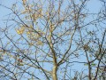 Balcons de Meuse 4 Gernelle/Rumel Balcons de Meuse 4 Gernelle/Rumel