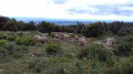 Du Plateau de la Matte à Ventajou la Médiévale Du Plateau de la Matte à Ventajou la Médiévale