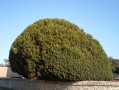À l'orée de la Forêt d'Eawy à Maucomble À l'orée de la Forêt d'Eawy à Maucomble