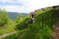 Les tranchées Nord du Hartmannswillerkopf Les tranchées Nord du Hartmannswillerkopf