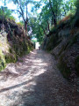 Le long du Caminho 126 Le long du Caminho 126