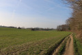 Le Parc Tervuren, le long de la Voer et retour par les champs