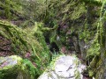 Canyon des Gueulards Canyon des Gueulards