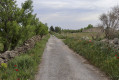 Cap leucate Cap leucate