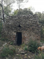 capitelle capitelle