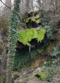 Autour de la Forêt de Grézelles Autour de la Forêt de Grézelles