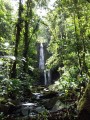 Les chutes Moreau Les chutes Moreau