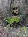 De la Vallée de Bonnan aux Combes d'Orsayrolles De la Vallée de Bonnan aux Combes d'Orsayrolles