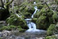 Le Belvédère du Rivet Le Belvédère du Rivet
