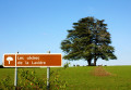 De l'Église au Sully par les Cèdres de la Lavière De l'Église au Sully par les Cèdres de la Lavière
