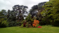De Boulogne à Bougival par le Parc de Saint-Cloud et le Bois de La Celle De Boulogne à Bougival par le Parc de Saint-Cloud et le Bois de La Celle